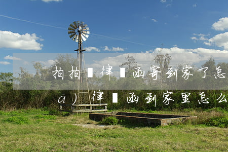 拍拍貸律師函寄到家了怎么辦(拍拍貸發(fā)律師函到家里怎么辦)