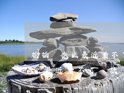 拍拍貸怎么最近看不了還款記錄-拍拍貸怎么最近看不了還款記錄呢