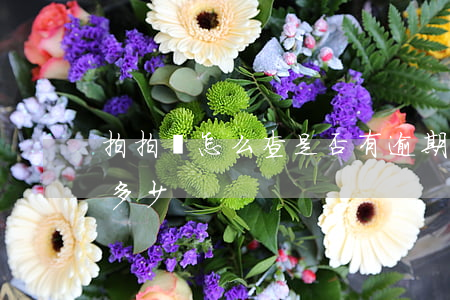 拍拍貸怎么查是否有逾期(拍拍貸怎么查詢欠多少)