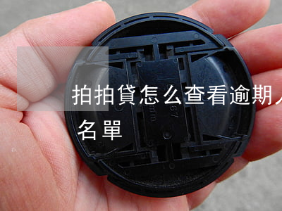 拍拍貸怎么查看逾期人員(怎么查詢拍拍貸黑名單)