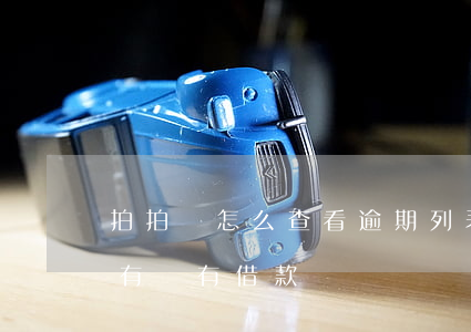 拍拍貸怎么查看逾期列表(怎么查詢在拍拍貸有沒有借款)