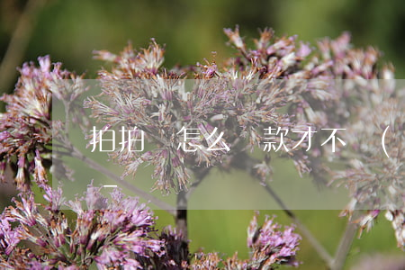 拍拍貸怎么還款才不會(huì)影響額度-