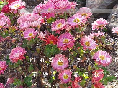 拍拍貸我不想24期還款怎么改-拍拍貸我不想24期還款怎么改還款日期