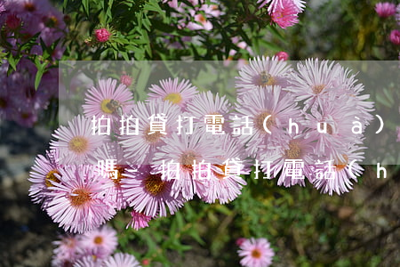 拍拍貸打電話(huà)讓我只還本金可信嗎-拍拍貸打電話(huà)讓我只還本金可信嗎是真的嗎