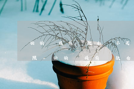 拍拍貸提前還款余額不足次數(shù)超限-拍拍貸提前還款余額不足次數(shù)超限怎么辦
