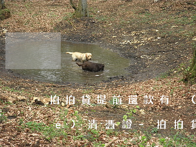拍拍貸提前還款有沒(méi)有結(jié)清憑證-拍拍貸提前還款有沒(méi)有結(jié)清憑證啊