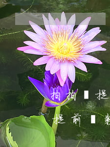 拍拍貸提前還款要收取所有利息嗎-拍拍貸提前還款要收取所有利息嗎是真的嗎