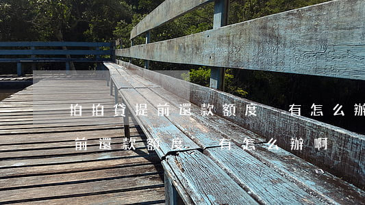 拍拍貸提前還款額度沒有怎么辦-拍拍貸提前還款額度沒有怎么辦啊
