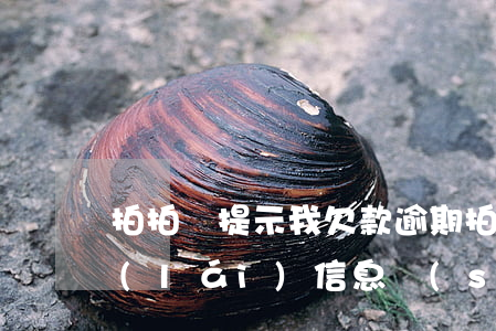 拍拍貸提示我欠款逾期(拍拍貸發(fā)來(lái)信息說(shuō)因您拖欠拍拍貸平臺(tái)的款項(xiàng))