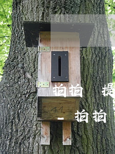 拍拍貸提醒還款短信號(hào)碼是多少-拍拍貸提醒還款短信號(hào)碼是多少號(hào)