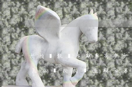 拍拍貸散標逾期率有多少(拍拍貸逾期兩天會怎么樣?拍拍貸逾期后果介紹)