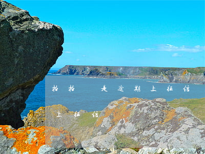 拍拍貸是逾期上征信對吧(拍拍貸每次借款都上征信嗎)