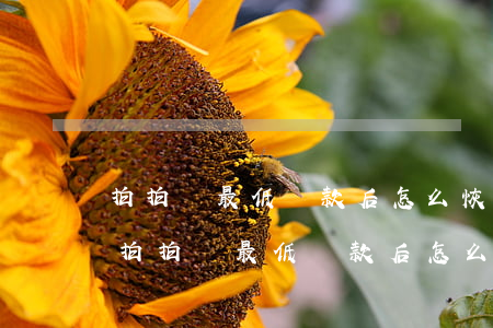 拍拍貸最低還款后怎么恢復(fù)額度-拍拍貸最低還款后怎么恢復(fù)額度了