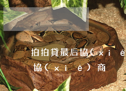 拍拍貸最后協(xié)商（中山拍拍貸逾期協(xié)商）