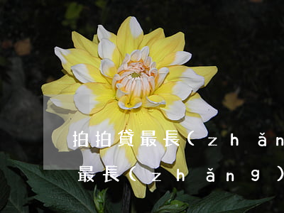 拍拍貸最長(zhǎng)逾期幾天(拍拍貸最長(zhǎng)逾期幾天算逾期)