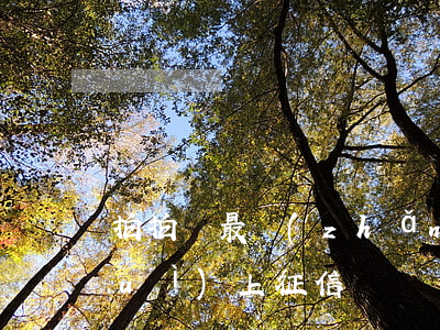 拍拍貸最長(zhǎng)逾期幾天會(huì)上征信