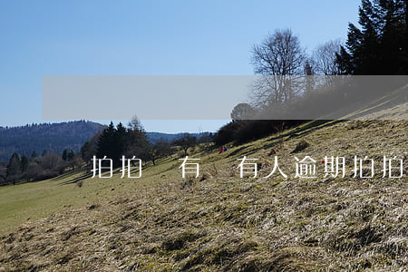 拍拍貸有沒有人逾期(拍拍貸有沒有人逾期了)