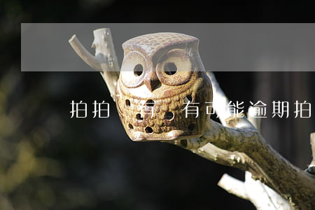 拍拍貸有沒有可能逾期(拍拍貸會)