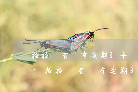 拍拍貸有沒有逾期3年發(fā)律師函的-拍拍貸有沒有逾期3年發(fā)律師函的可能性