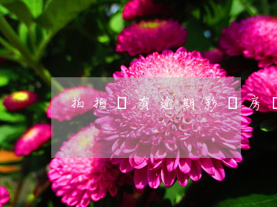 拍拍貸有逾期影響房貸嗎