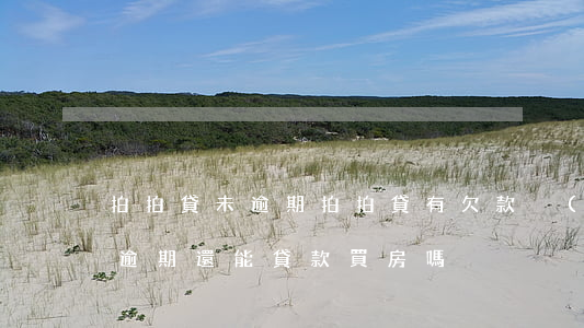 拍拍貸 未逾期(拍拍貸有欠款沒(méi)有逾期還能貸款買房嗎)