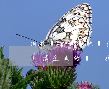拍拍貸本金還款協(xié)議結(jié)清是真的嗎-拍拍貸本金還款協(xié)議結(jié)清是真的嗎嗎