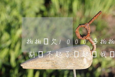 拍拍貸欠1000多(拍拍貸欠1000多逾期還不起了會起訴我嗎2020)