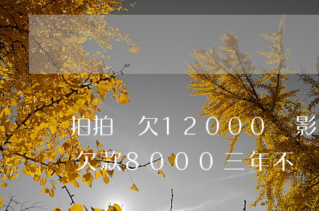 拍拍貸欠12000會影響工作嗎(在拍拍貸欠款8000三年不還會怎么樣?)