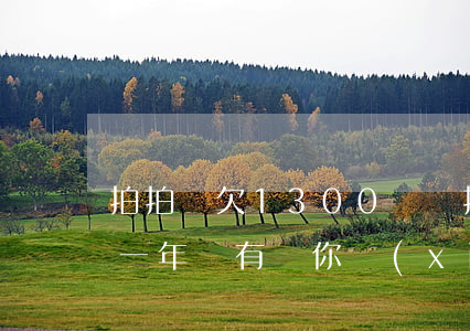 拍拍貸欠1300沒還(拍拍貸欠款8000一年沒有還你現(xiàn)在應(yīng)該還多少錢)