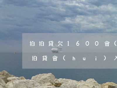 拍拍貸欠1600會(huì)上征信嗎(拍拍貸會(huì)入征信嗎)