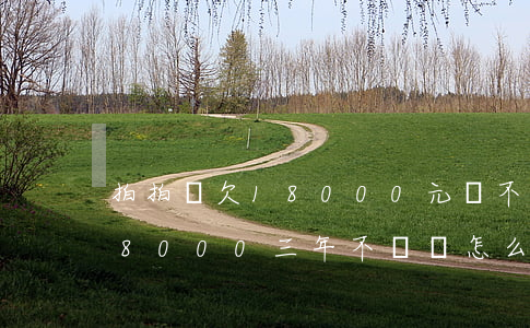拍拍貸欠18000元還不起(在拍拍貸欠款8000三年不還會怎么樣?)