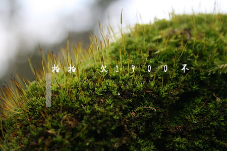 拍拍貸欠1900不還會(huì)怎樣
