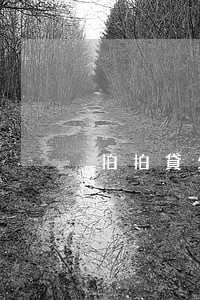 拍拍貸欠1900不還會怎樣