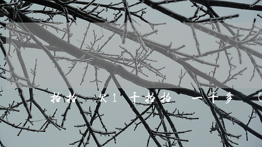 拍拍貸欠1千(拍拍貸一千多沒(méi)還)