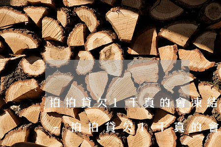 拍拍貸欠1千真的會凍結(jié)賬戶嗎-拍拍貸欠1千真的會凍結(jié)賬戶嗎安全嗎