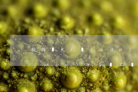 拍拍貸欠1萬(wàn)塊(拍拍貸欠款2萬(wàn)9千塊不還的后果是什么?)