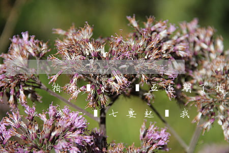 拍拍貸欠1萬五逾期了(拍拍貸欠五千逾期變成一萬七要起訴我)