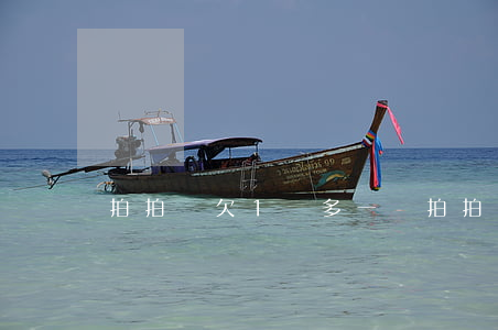 拍拍貸欠1萬多一點(拍拍貸一千多沒還)