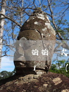 拍拍貸欠1萬會(huì)怎么樣(拍拍貸欠1萬會(huì)怎么樣)