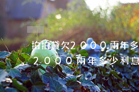 拍拍貸欠2000兩年多少利息-拍拍貸欠2000兩年多少利息呢