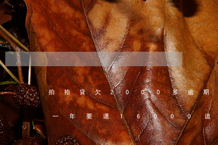拍拍貸欠2000多逾期(拍拍貸欠一萬逾期一年要還16000這個合法)