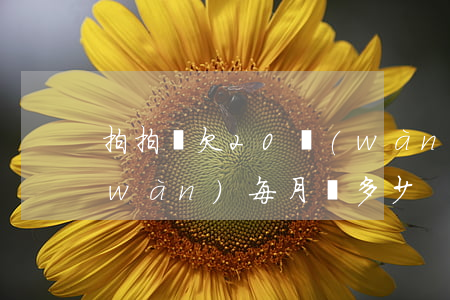 拍拍貸欠20萬(wàn)(拍拍貸20萬(wàn)每月還多少)