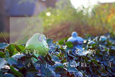 拍拍貸欠2千多真的會(huì)上門(mén)嗎(欠拍拍貸一千多,說(shuō)要上門(mén)是真的嗎?)