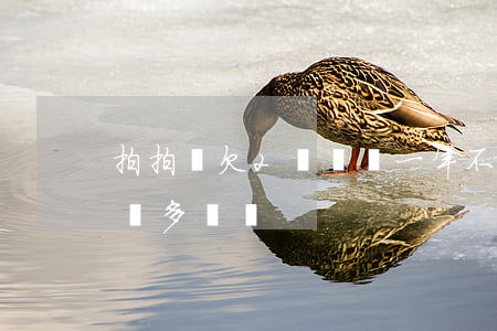 拍拍貸欠2萬塊錢一年不還怎么樣(拍拍貸2萬多沒還)