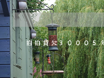 拍拍貸欠30005年沒有還了-