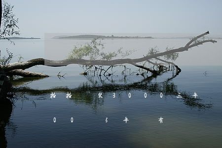 拍拍貸欠3000三年沒還(拍拍貸借了3000塊5年沒有還)