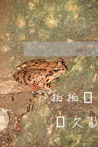拍拍貸欠3000會(huì)怎樣(在拍拍貸欠款1000三年不還會(huì)怎么樣?)