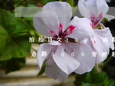 拍拍貸欠3000逾期200多天-拍拍貸逾期3000會被起訴嗎