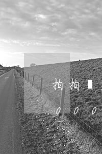拍拍貸欠3000還10000(拍拍貸借3000到賬多少)