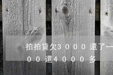 拍拍貸欠3000還了一千多(拍拍貸借3000還4000多)